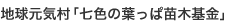 地球元気村「七色の葉っぱ苗木基金」